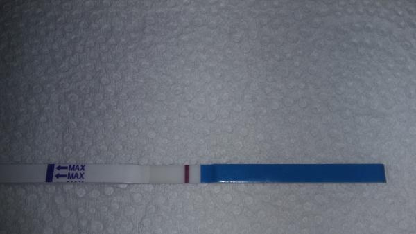 Som 6. deň po embryotransfere a urobila som si test