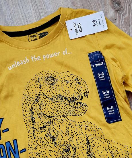 Tričko s dinosaurom little kids 116 na 5-6 rokov, 116