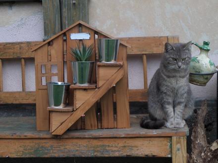 Dekoračný domček s kvetináčmi, 