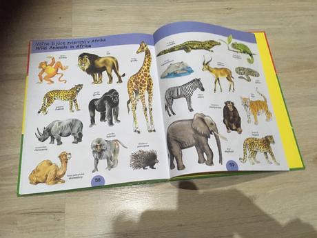 Kniha anglické slovíčka,