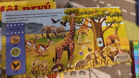 Knihy svojtka a ine pre najmensich, 