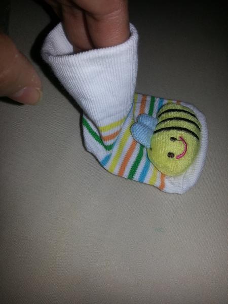 Ktoré z týchto papučiek by ste kúpili?