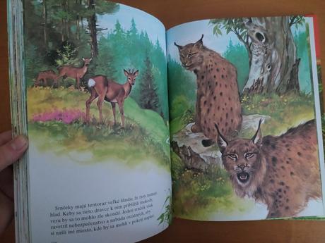 Moja najkrajšia kniha o zvieratkách, 