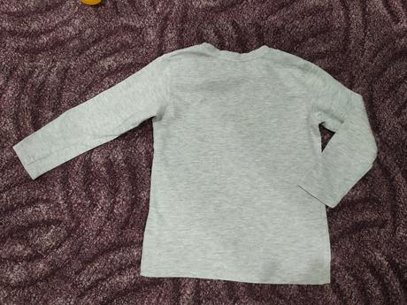 Tričko s dinosaurami, 110