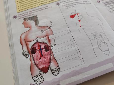 Prírodoveda pre 3. ročník zš, 