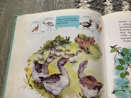 Cez lúky a lesy (1994),