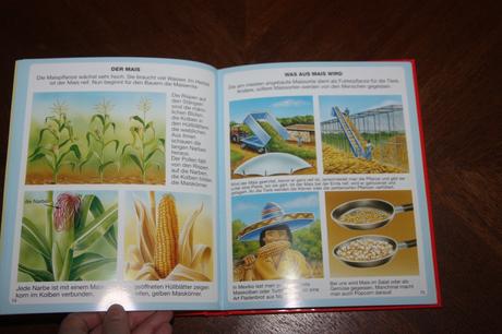 Dein buntes wörterbuch 5 ks, 