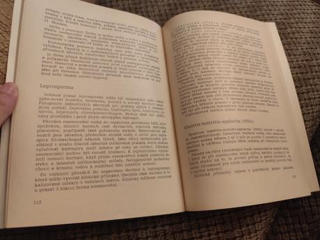 Prasata - zdravotní problematika velkochovu,