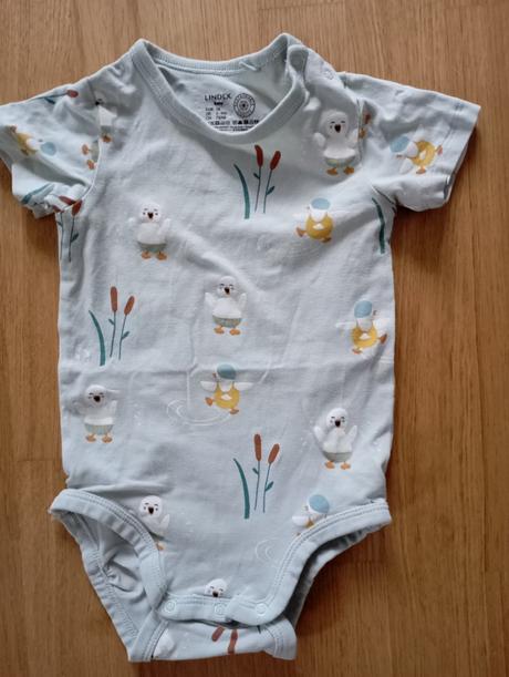 Body lindex, lindex,74