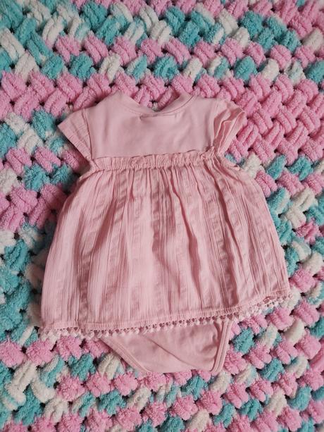 Krasne body coccodrillo, coccodrillo,62