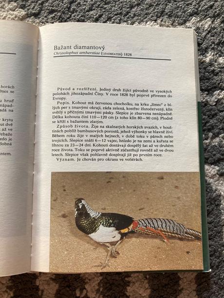 Atlas zvěře (1980),