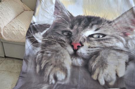 Posteľné obliečky-mačička, 