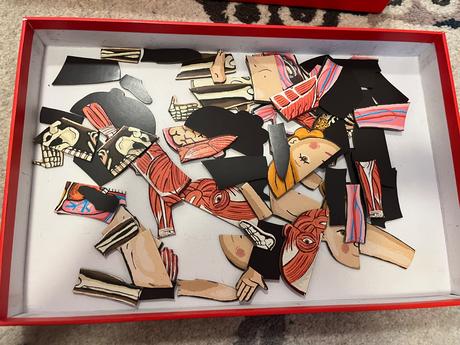 Magneticka stavebnica le corps humain(ludske telo), 