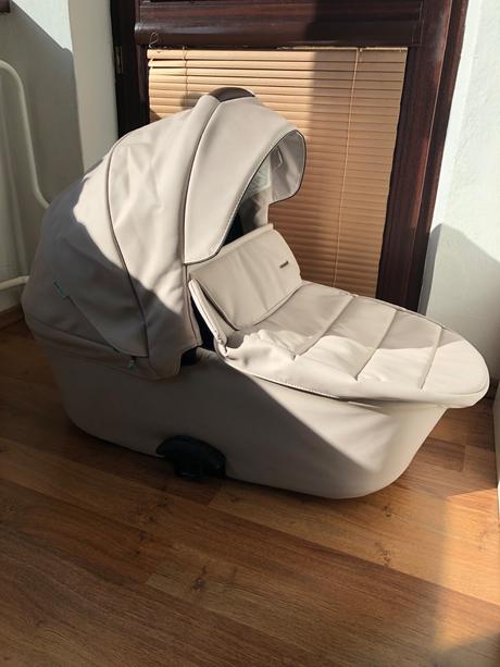 Bebetto luca pro 2023, bebetto,bebetto luca