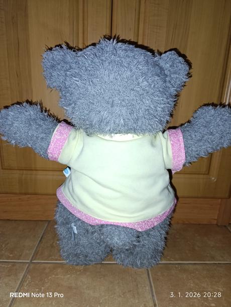 Veľký medveď me to you, 