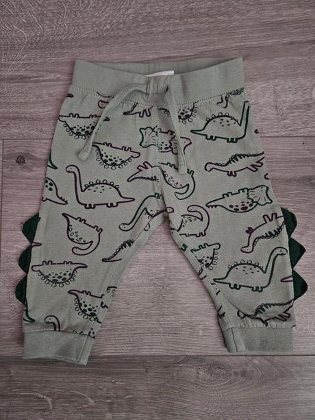 Tenšie tepláčky s dinosauríkmi 68, pepco,68