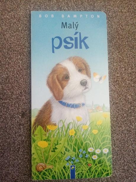 Malý psík, 