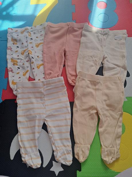 Poldupacky, fox & bunny,62