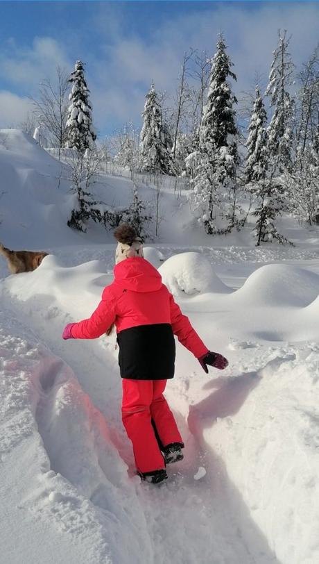 4f lyžiarska súprava neon, 146