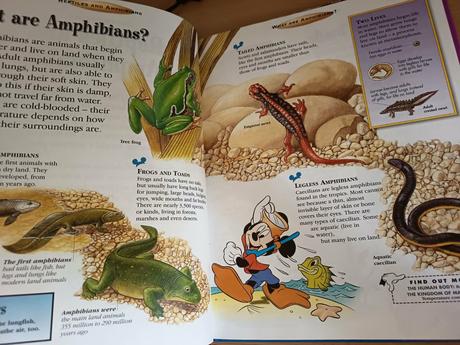 Disney reptiles, 