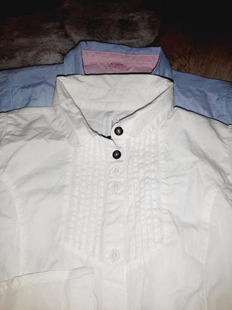 Blúzky lewro, coccodrillo, 140-146, coccodrillo,140