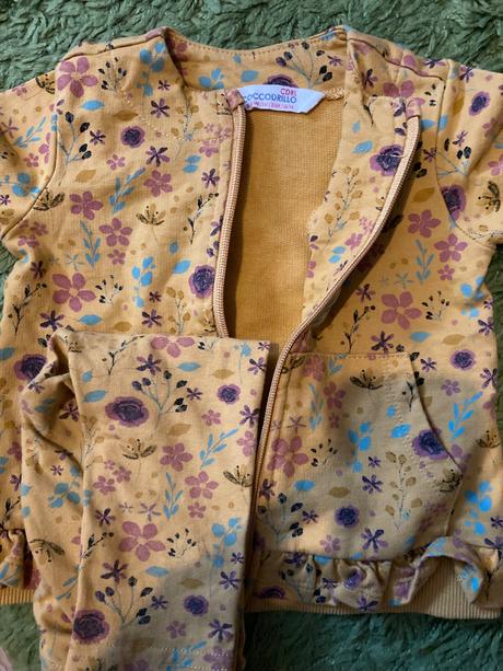 Coccodrillo súprava, coccodrillo,74