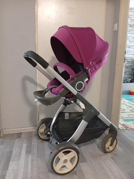 Kocik stokke crusi, stokke,stokke crusi