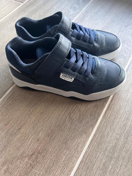 Topánky geox, geox,31