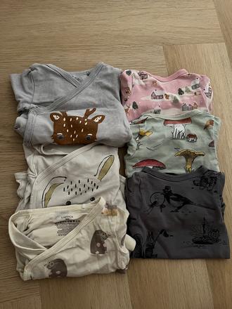 Lindex rastúce body 56, lindex,56