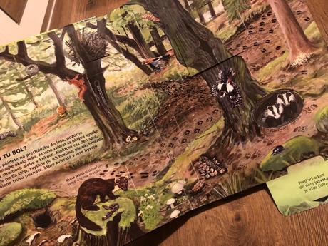 V našom lese - interaktívna knižka,