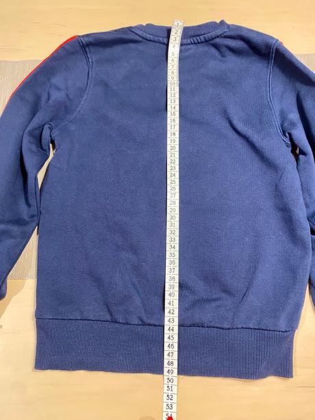 Mikina pokémon, 128