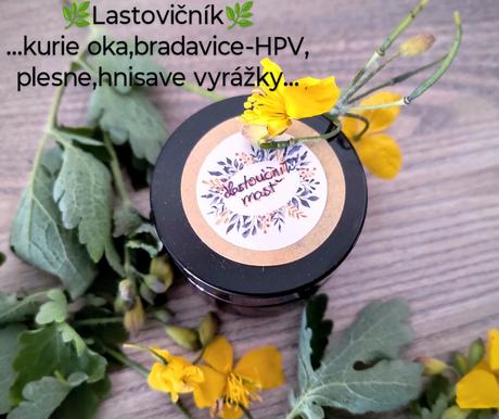 Lastovičnik masť,