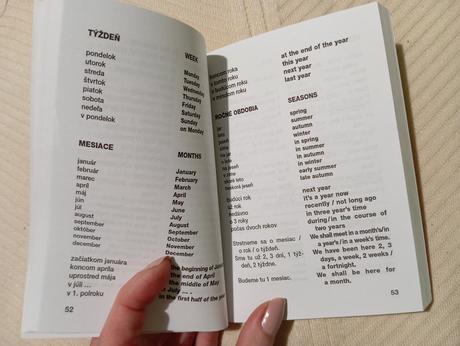 Angličtina do vrecka,