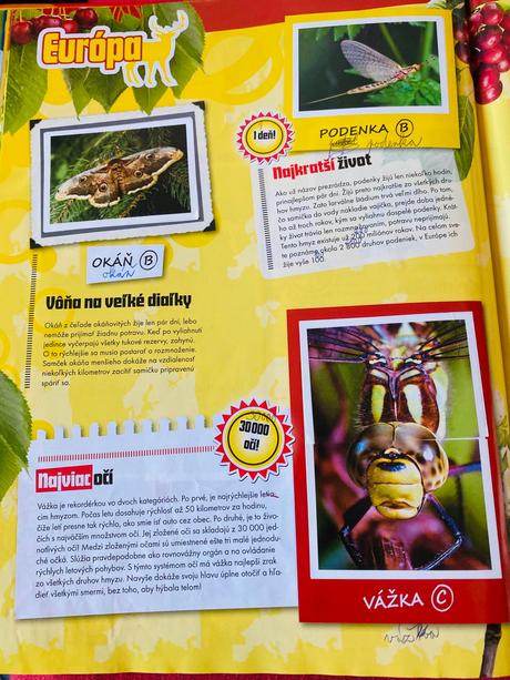 Kniha rekordy z ríše zvierat billa,