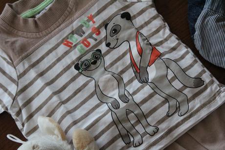 Letná súprava surikata, ergee,62