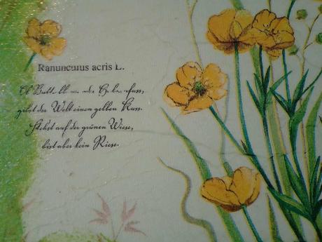 Obrázok rastlinková dvojka, 