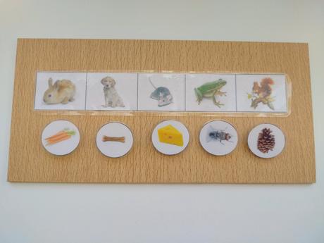 Edukačné aktivity montessori,