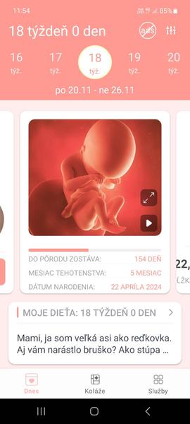 V ktorom tehotenskom týždni sa nachádzam?