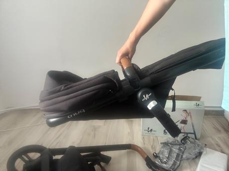 Kočik, neonato,neonato puro