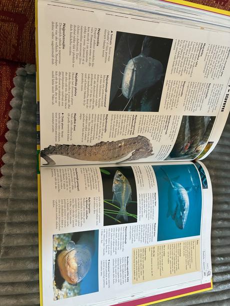 Kniha objavujeme svet, 