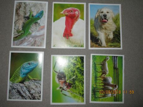 Nálepky jednota - zvieratká slovenska, 