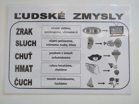 Sada vzdelávacích a didaktických materiálov, 