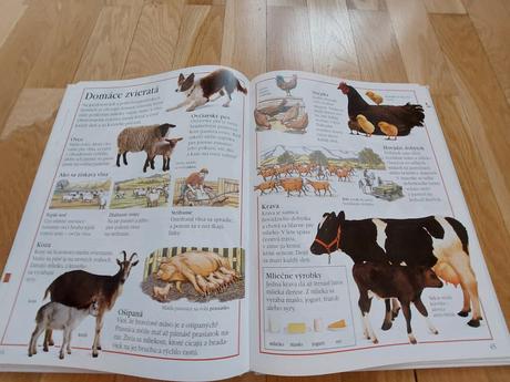 Kniha  moja prvá encyklopédia, 