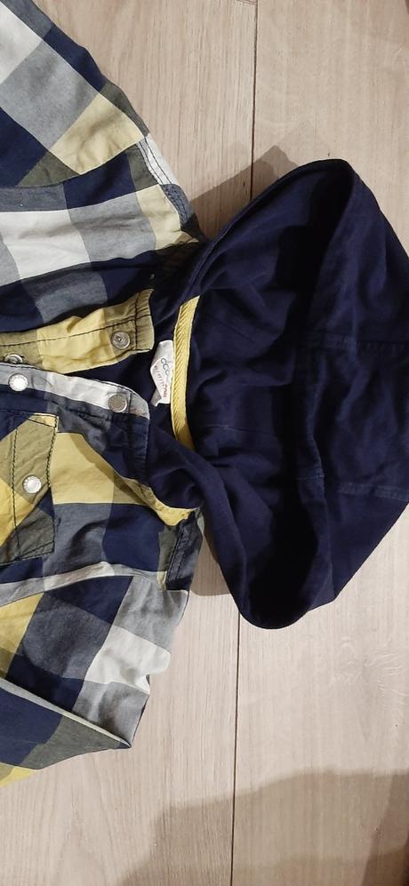 Mikinova kosela, coccodrillo,104