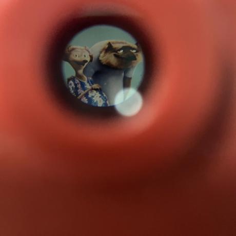 Fotoaparát hotel transylvánia, 