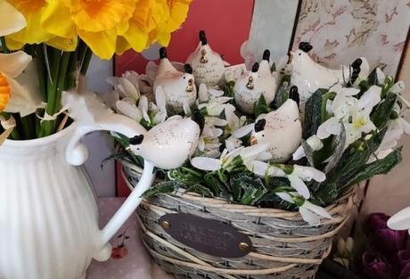 Snežienky s námrazou,