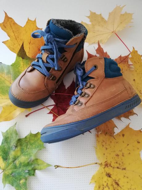 Zimné d. d. step, d.d.step,29