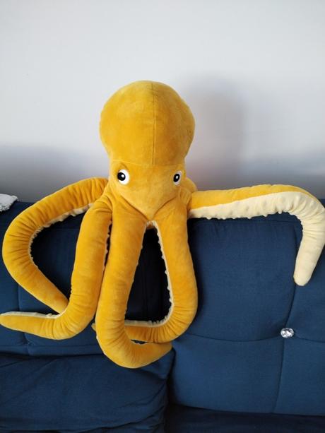 Makkučká chobotnica veľká, 