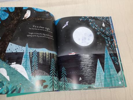 Usborne book of the moon nea20, 
