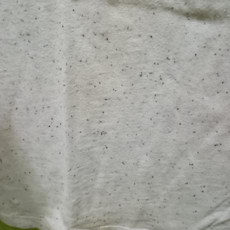 Tričká s dlhým rukávom veľ. 146, reserved,146